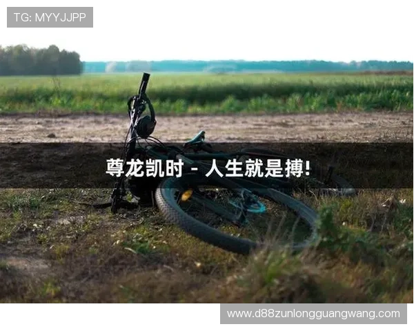 搏击人生的乐趣，尽在尊龙凯时官网的精彩体验